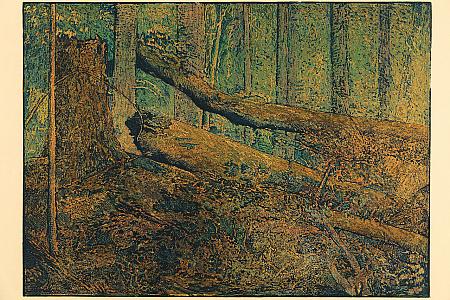 Boubínský prales, Šumava umírající a romantická, 1931, zdroj: Zámek Týnec (6/70)