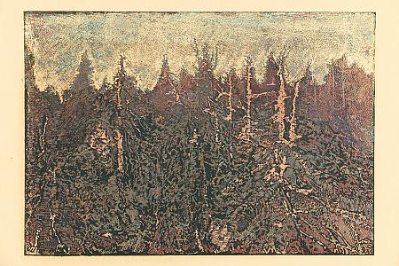Mrtvý les, Šumava umírající a romantická, 1931, zdroj: Zámek Týnec (14/70)