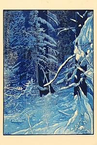 Z pralesa pod Luzným, Šumava umírající a romantická, 1931, zdroj: Zámek Týnec (42/70)