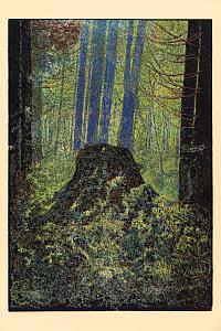 Zbytky pralesa v Gayerrück, Šumava umírající a romantická, 1931, zdroj: Zámek Týnec (46/70)